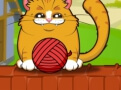 Playful Kitty